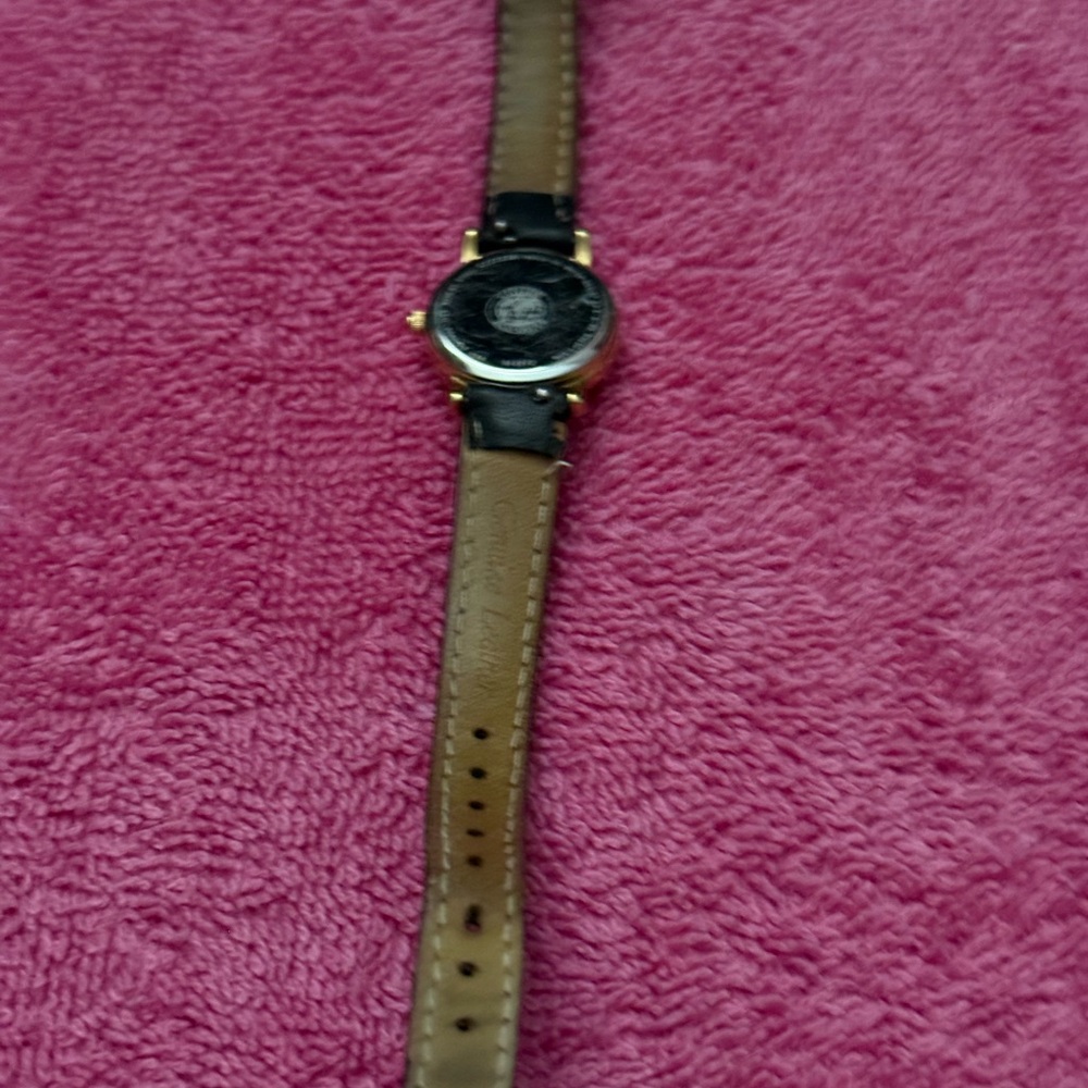 Citizen Eco-Drive Women's Leather Watch - Picture 6 of 6